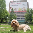 The Nestle Purina PetCare headquarters in St. Louis, Missouri, USA. | Courtesy of Nestle Purina PetCare