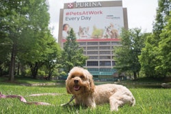 The Nestle Purina PetCare headquarters in St. Louis, Missouri, USA. | Courtesy of Nestle Purina PetCare