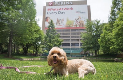 The Nestle Purina PetCare headquarters in St. Louis, Missouri, USA. | Courtesy of Nestle Purina PetCare