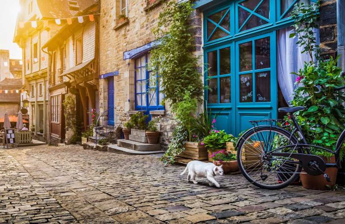 Iams europe bv shop
