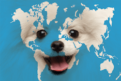 Design by Tess Stukenberg | Seregraff, Shutterstock.com