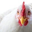 (pressmaster | BigStockPhoto.com)