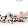 photo by Andrey_Kuzmin, iStock.com