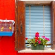 Bird in a cage in Burano, Italy, photo by pillerss, BigStock.com
