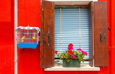 Bird in a cage in Burano, Italy, photo by pillerss, BigStock.com