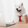 (LightField Studios | BigStock.com)