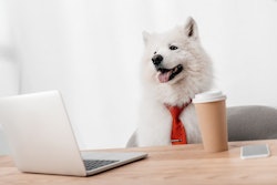 (LightField Studios | BigStock.com)