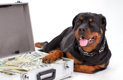 Dog Money Rottweiler Suitcase Guard