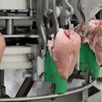 Automatic deboning devices aim to mechanize the most tedious and least desirable jobs on the deboning line. | Meyn Food Processing Technology B.V.