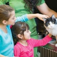 Philanthropy and animals is a no-brainer for the pet food industry. This year, we highlight three companies doing their best to help their communities. | FatCamera, iStockPhoto.com