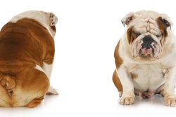 photo by Willee Cole, BigStock.com