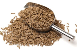 Crude fiber has a long history on the pet food label. The question today is, does it still have a place? | chengyuzheng, iStockPhoto.com