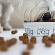 (Madebyindigo | shutterstock.com)
