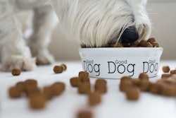 (Madebyindigo | shutterstock.com)