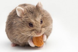 (Chrisjo | BigStock.com)