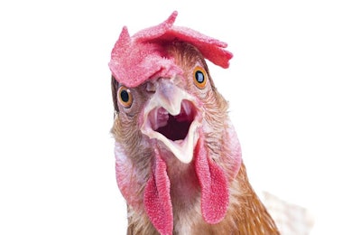 One problematic term is on the way out but its replacement is a bit confusing. | khunaspix | BigStockPhoto.com