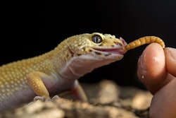 photo by MattiaATH, BigStock.com