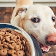 (chalabala | Fotolia.com)