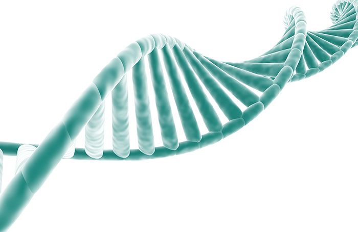 (Monika Wisniewska | Dreamstime.com)