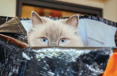 Pet food packaging has several challenges to overcome in a diverse market, and experts have plenty of ways to provide solutions. (ChrisRinckes | iStockPhoto.com)