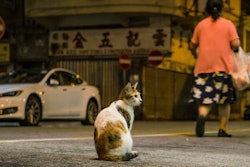 (Photo by Jimmy Chan)