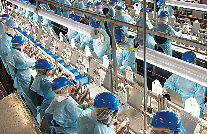 Courtesy U.S. Poultry & Egg Association