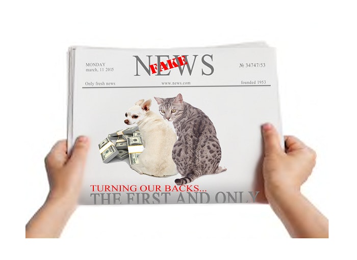 Fake news Petco drops pet food with artificial ingredients PetfoodIndustry