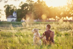 When it comes to buying pet food and treats, rural versus urban pet owners have distinct purchasing patterns. (Jaromir Chalabala | shutterstock.com)