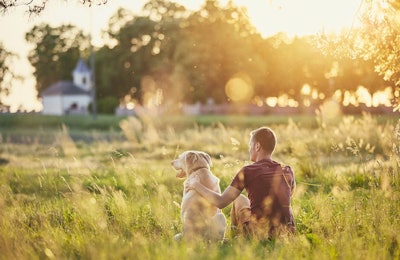 When it comes to buying pet food and treats, rural versus urban pet owners have distinct purchasing patterns. (Jaromir Chalabala | shutterstock.com)