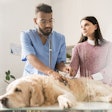 (pressmaster, BigStock.com)