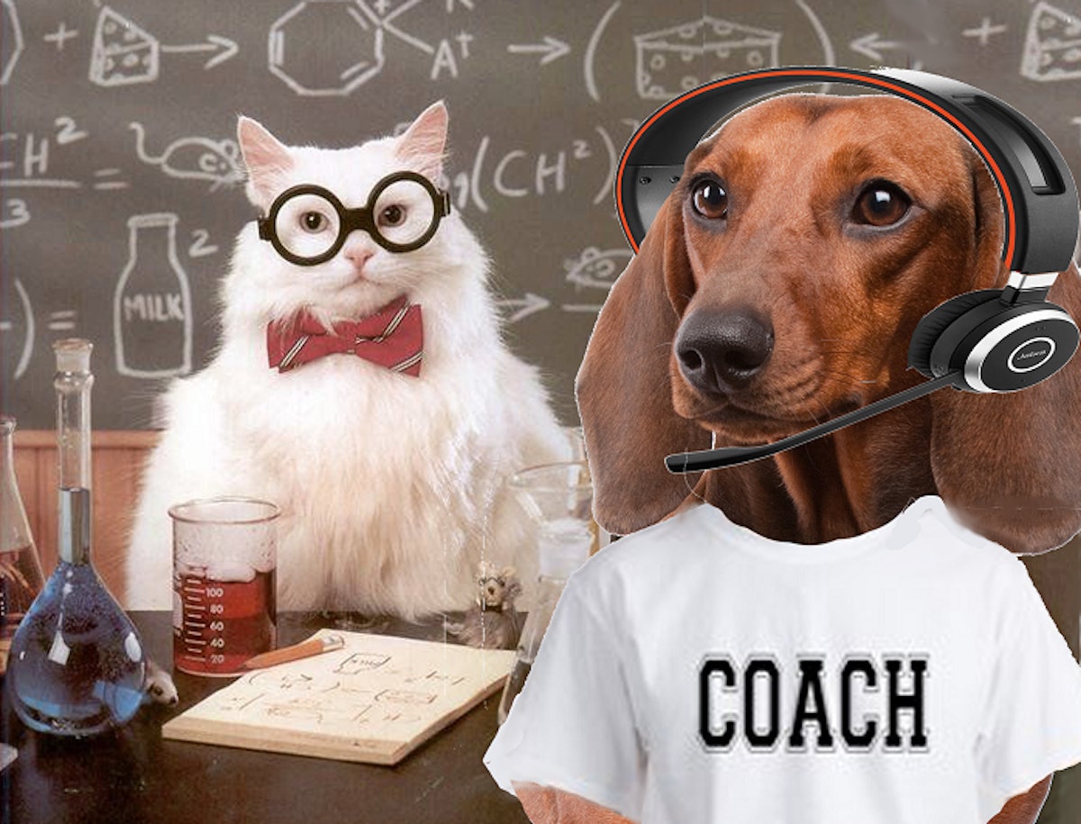 Update Can Petco be PetCoached to be PetSmarter Petfood