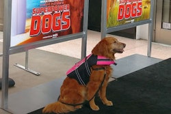 Ricochet at the premiere of 'Superpower Dogs' in Los Angeles on March 7. (Tim Wall)
