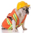 (Willee Cole | BigStock.com)