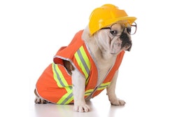 (Willee Cole | BigStock.com)