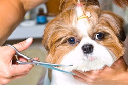 Pet grooming supply purchases are down, even as other products continue on upward trends. What does this say about the state of pet ownership? (pavel siamionov | AdobeStock.com)