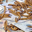 (Hamsterman , BigStock.com)