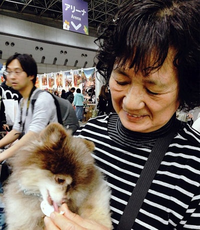 Old Japanese Woman Feeding Dog