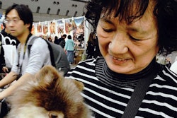Old Japanese Woman Feeding Dog