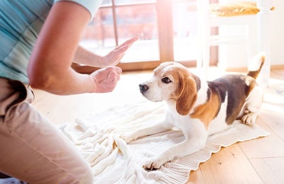 Consumers are in charge, but should pet food companies always follow their demands? (iStockPhoto.com | Halfpoint)
