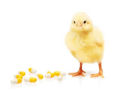 (Andrew Rafalsky | Shutterstock.com)