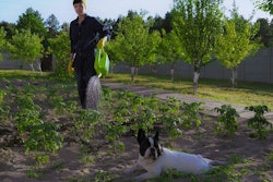 VadosLoginov I Shutterstock.com
