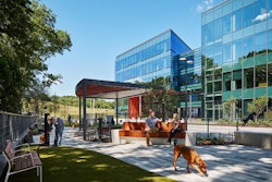 A key feature of Mars Petcare North America’s new pet-friendly headquarters is a dog park, outfitted with tables and chairs, plus wifi, so associates can work while their dogs romp. l Hall + Merrick Photographers, courtesy of Mars Petcare