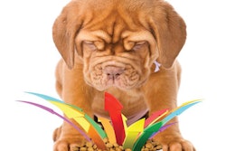 Mergers and acquisitions continue to play a significant role in shaping the pet food market landscape. (Tess Stukenberg, zozulinskyi and Ermolaev Alexandr | AdobePhoto.com)