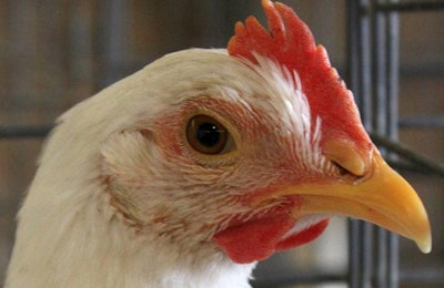 Avian-influenza-Iowa-quarantines1