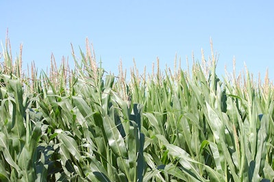 Iowa-corn