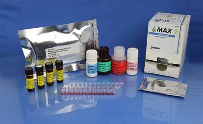 Neogen-Veratox-for-Total-Aflatoxin-test