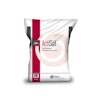 Phileo-Lesaffre-Animal-Care-Actisaf-probiotic