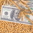 Profit From Soybean Cultivation