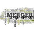 Word Cloud Merger & Acquisitions