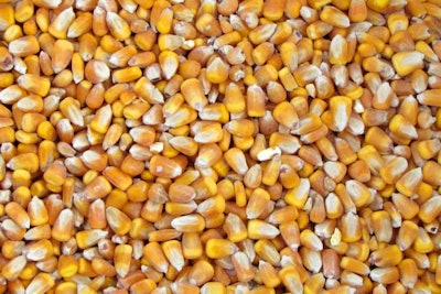 whole-shell-corn-1603